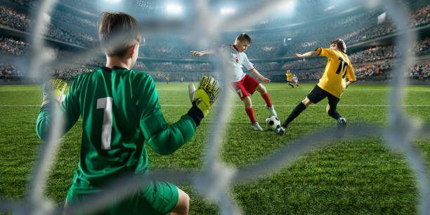 历程与未来 历程与未来